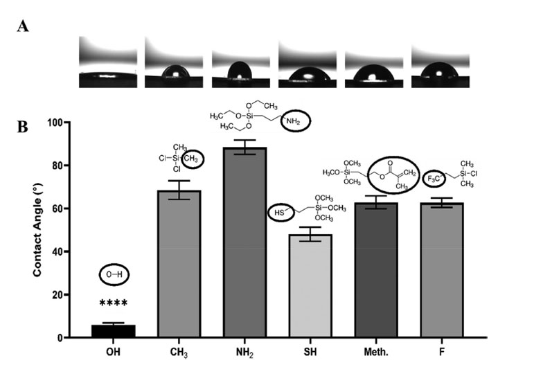 Figure 1 General process flow for the graphene electrode based memristor fabrication. Courtesy of ACS