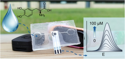 PDMS microfluidic layers and carbon screen-printed electrode before and after oxygen plasma treatment, showing the assembled sweat-sensing device with inlet, accumulating chamber, and outlet.
